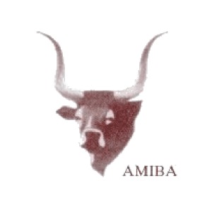 AMIBA