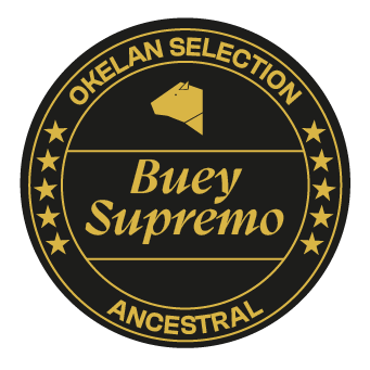 logo buey supremo de okelan