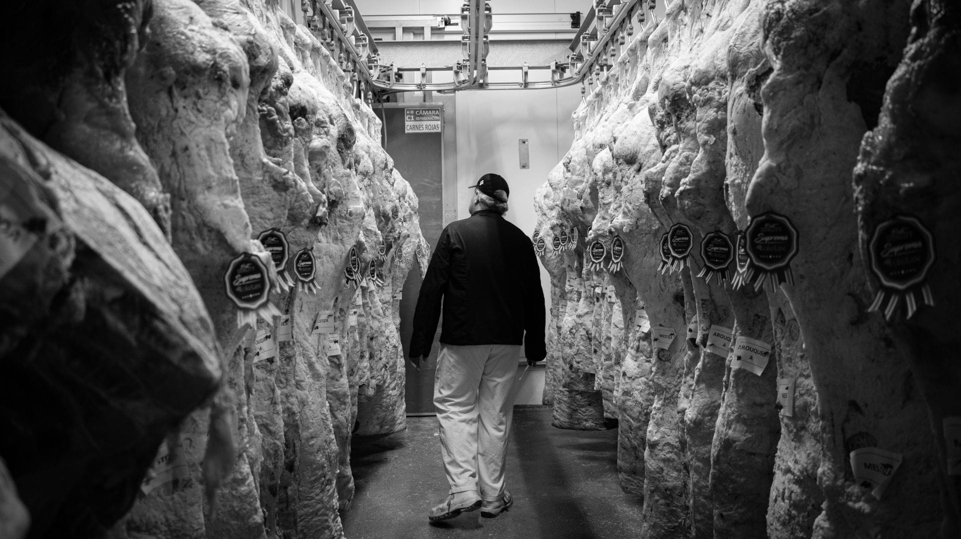 Patxi cámaras Okelan Comprar Carne Online Okelan