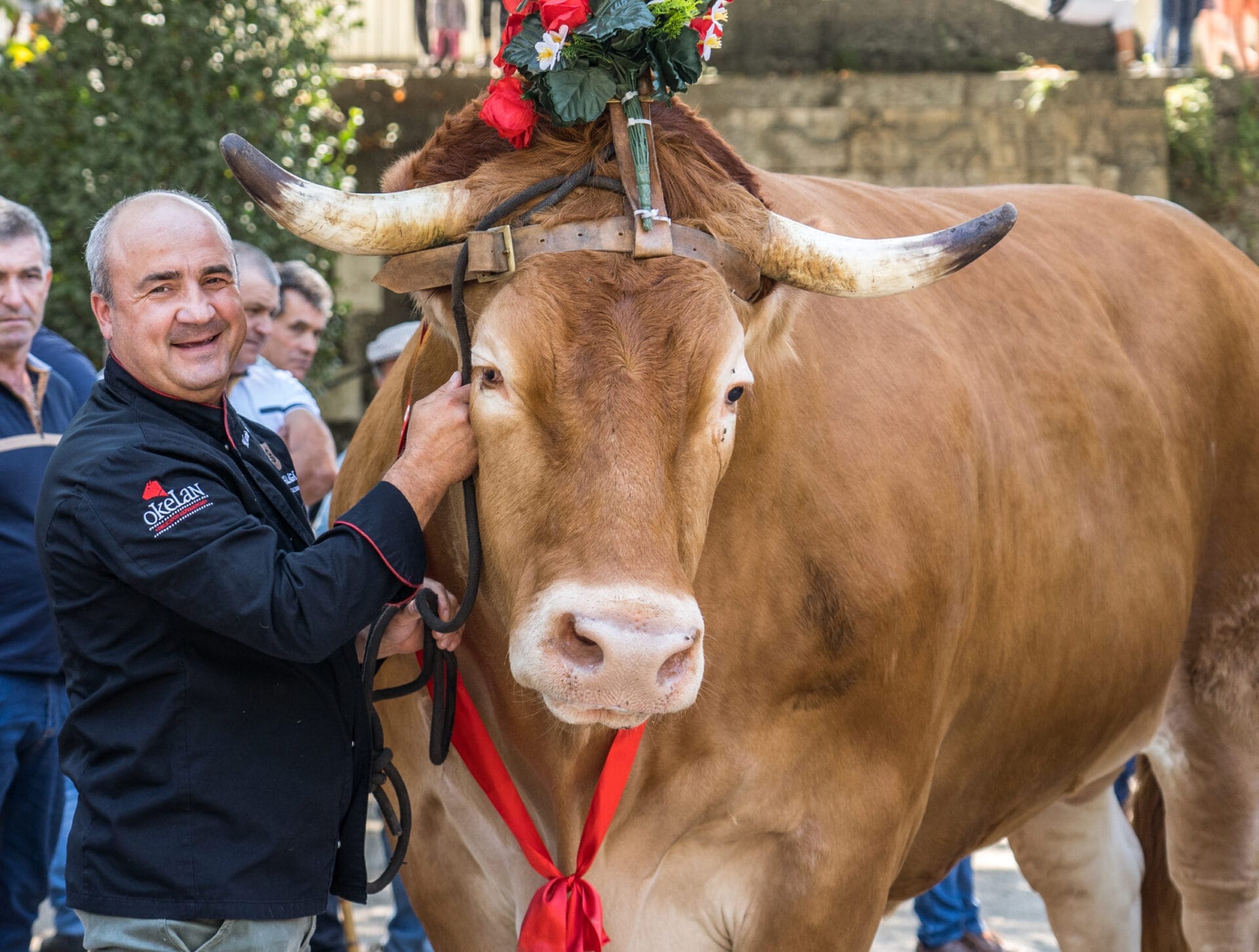 vacas de raza wagyu en Japón